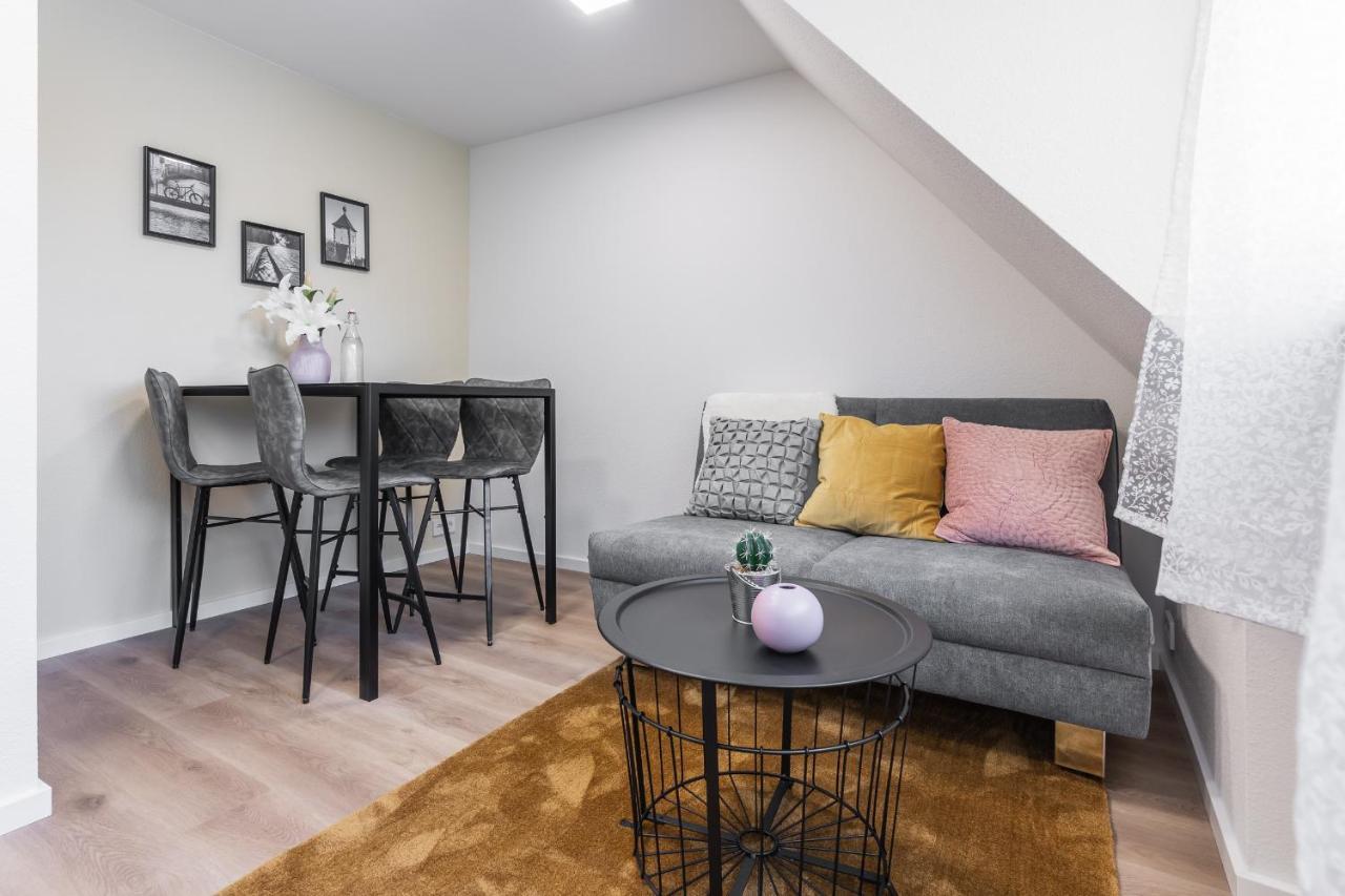 Boutique Apartments Am Stadtgarten Фрайбург Номер фото