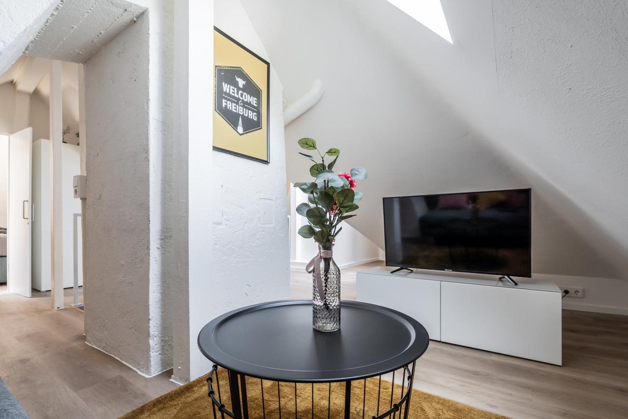 Boutique Apartments Am Stadtgarten Фрайбург Номер фото