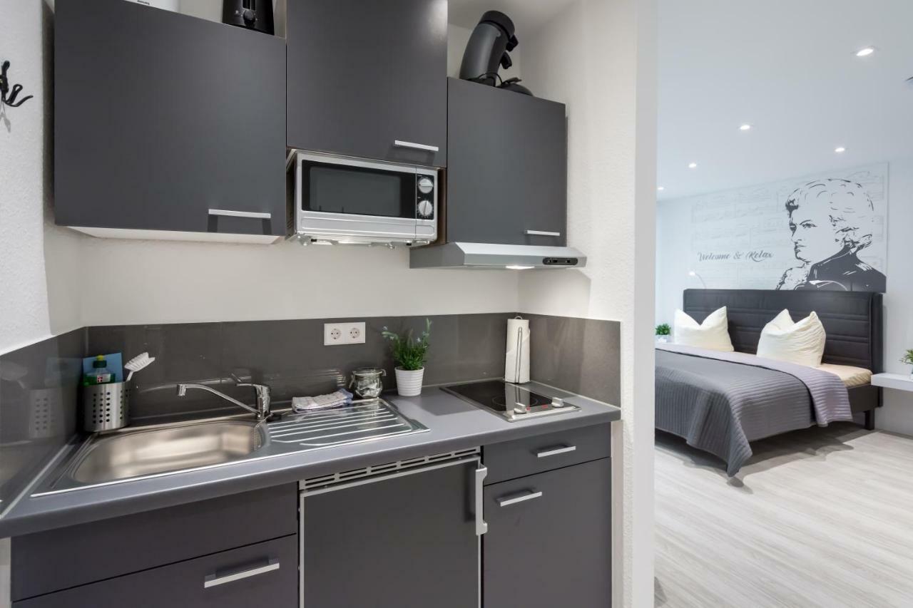 Boutique Apartments Am Stadtgarten Фрайбург Номер фото